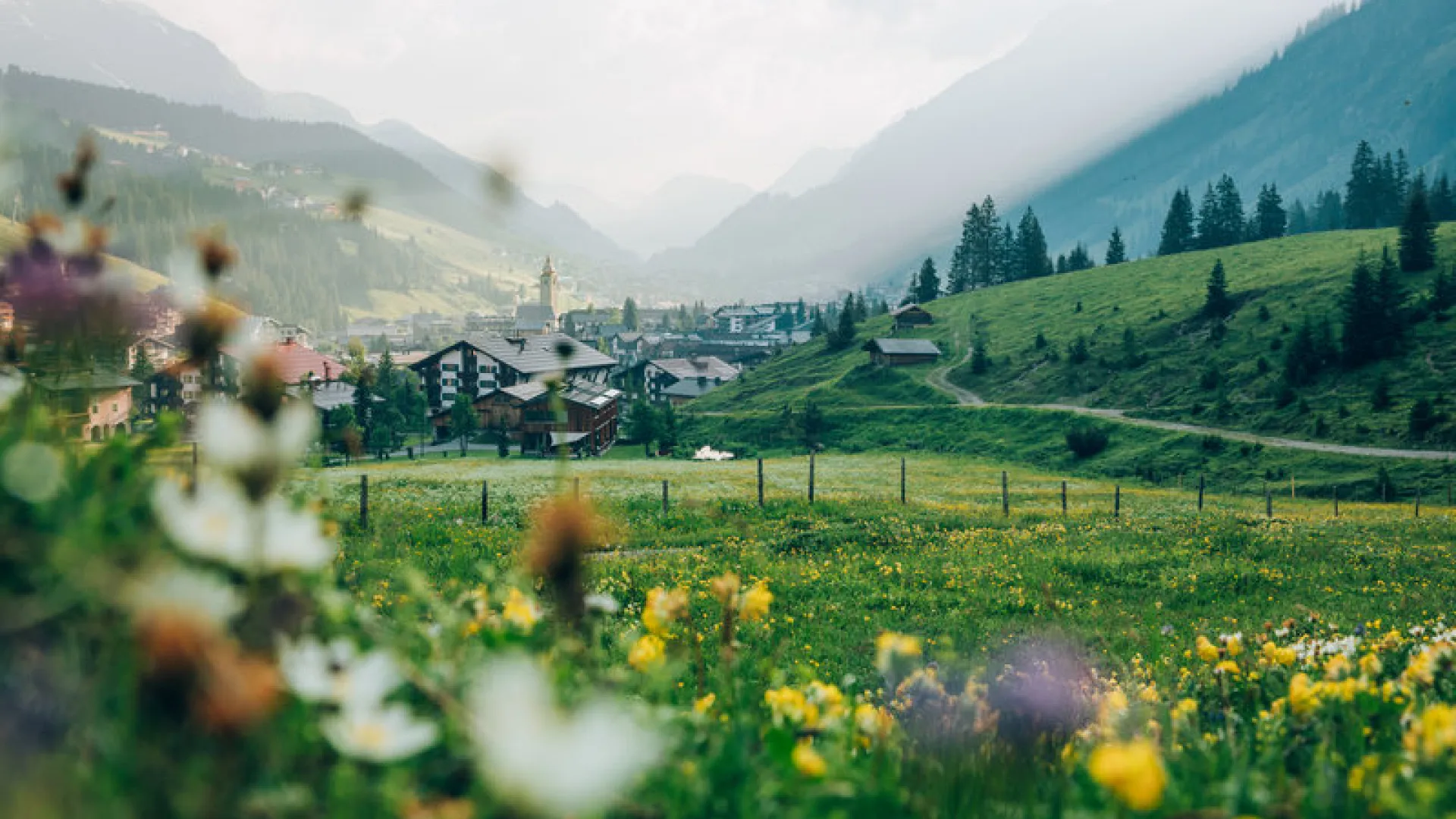Blühende Wiesen und Berglandschaft in Lech Zürs