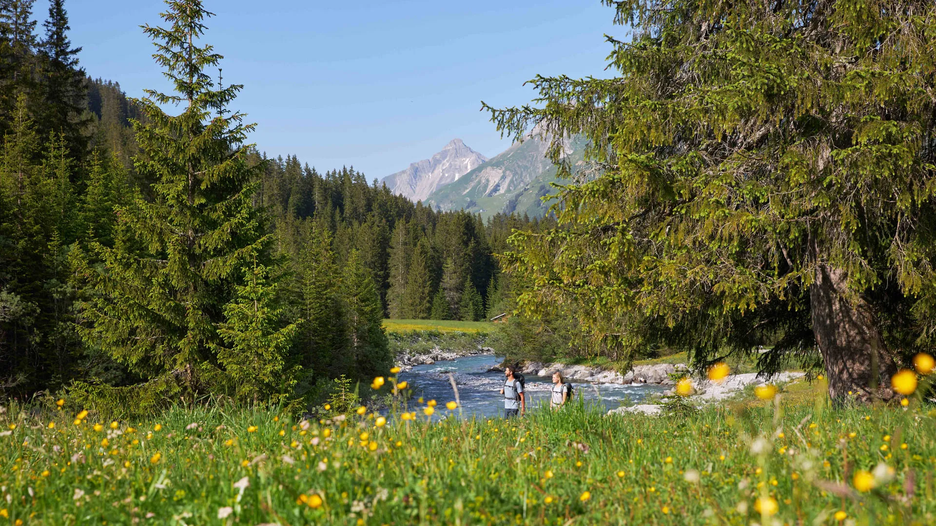 Blühende Wiese mit Fluss und Berg im Hintergrund, Spaziergänger am Wasser